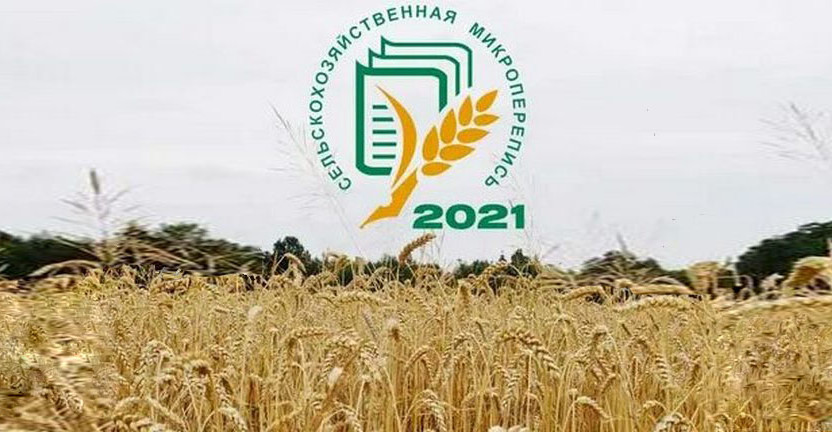 Об итогах первого этапа сельскохозяйственной микропереписи 2021 года
